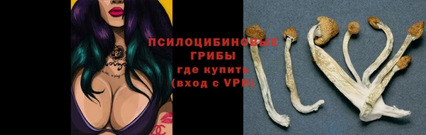 МДМА Абаза