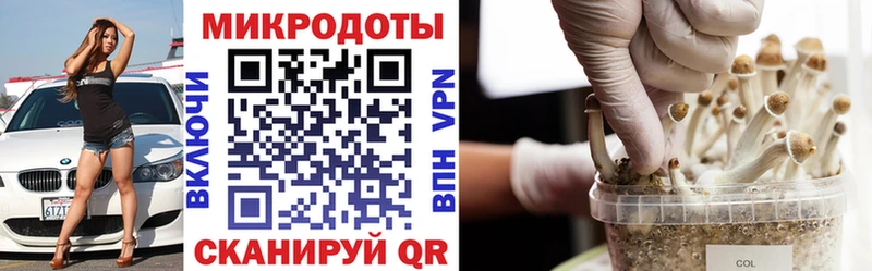 Псилоцибиновые грибы GOLDEN TEACHER  Тбилисская 